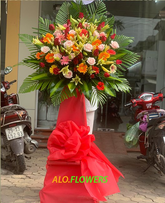 HOA KHAI TRƯƠNG PHÁT LỘC