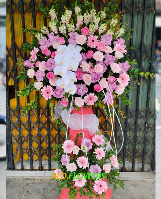 VẠN SỰ THÀNH CÔNG